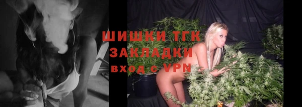 твердый Богданович