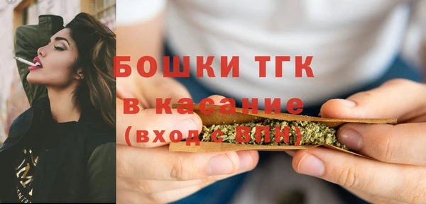 крисы Бронницы