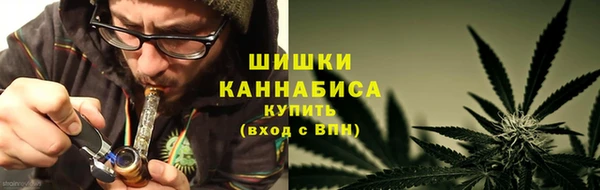 не бодяженный Бородино