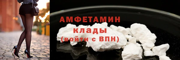 крисы Бронницы