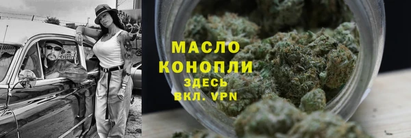 твердый Богданович