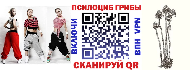 Псилоцибиновые грибы Magic Shrooms  как найти   МЕГА ссылки  Новосибирск 