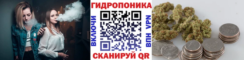 Бошки Шишки MAZAR  Новосибирск 